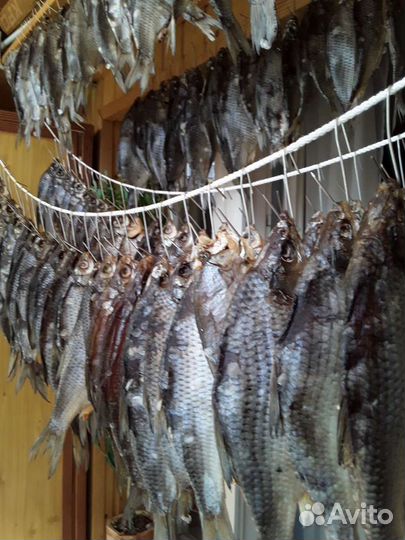Продается сорожка