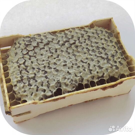 Мед в сотах мёд в мини-рамках 2023
