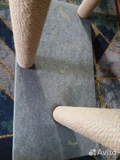 Когтеточка