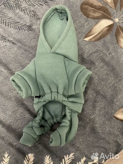 Одежда для собак мелких пород