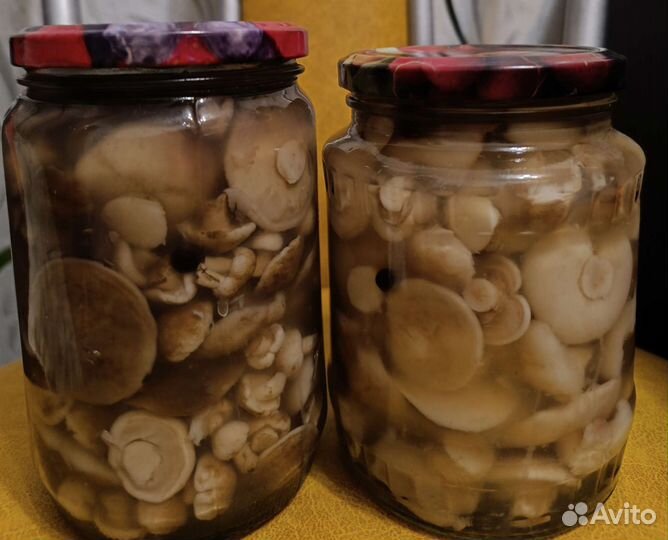 Маринованные грибы