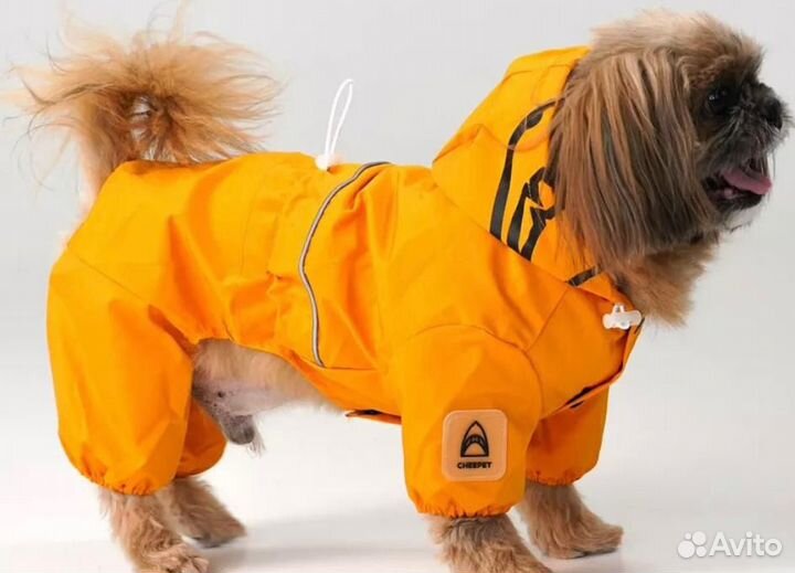 Дождевик для маленькой собаки