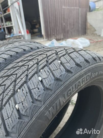 Nexen Winguard Ice Plus 195/55 R16 91T