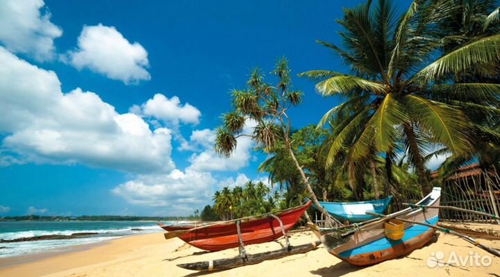 Тур на двоих в Шри-ланка Анекс тур