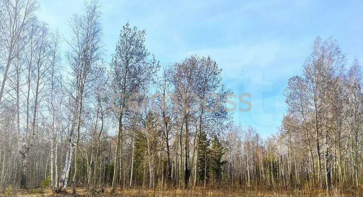 Участок 15 сот. (СНТ, ДНП)