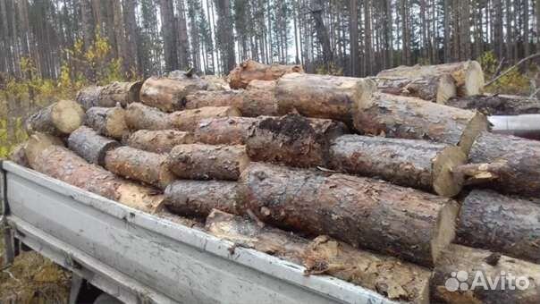 Дрова сухостой сосна