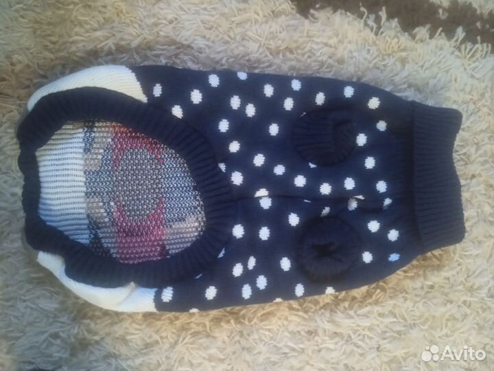 Одежда для собаки