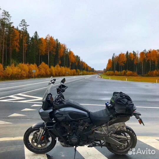 Harley Davidson Pan America Special