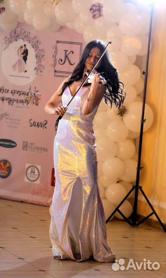 Скрипка на праздник, музыкант