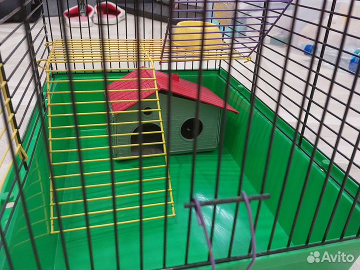 Клетка для хомяков(Дом+колесо+кормушка+поилка)