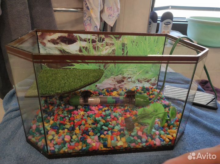 Аквариум для черепах 15-20л