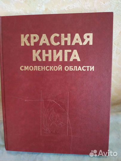 Книга