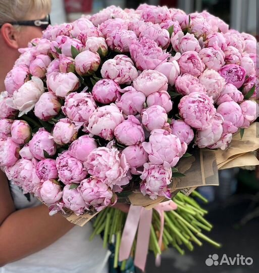 Пионы Сара бернард сезон 2023