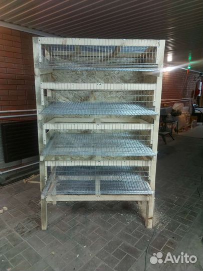 Клетка, ферма, батарея для перепелов