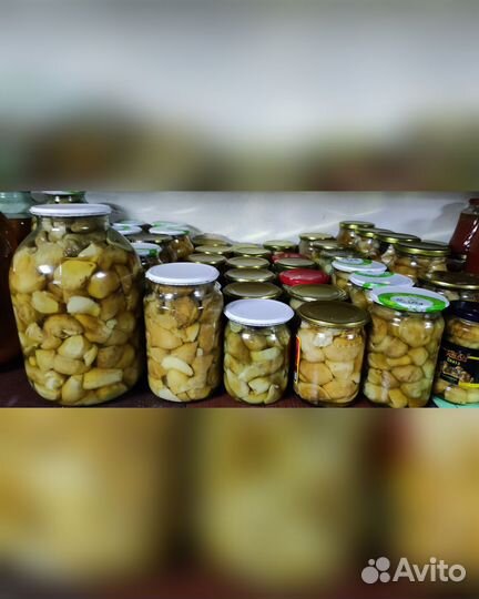 Белый гриб/маслята маринованные,сушеный белый гриб