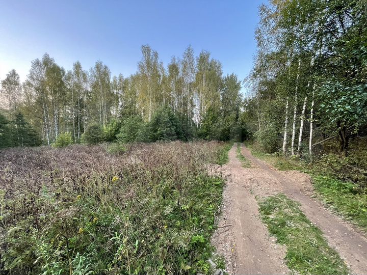 Участок 10 сот. (ИЖС)