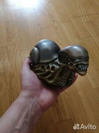 Alien snail. Чужой улитка. Ахатина крупная