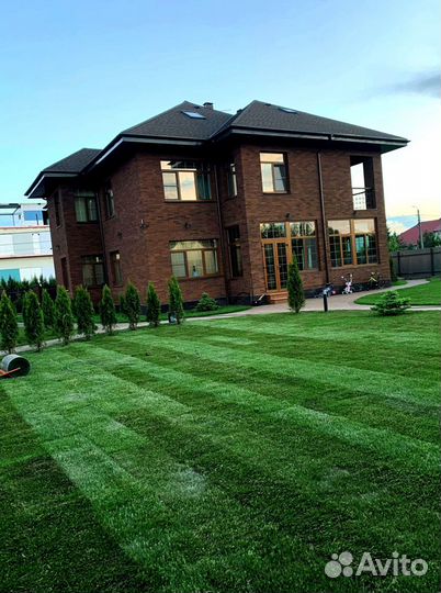 Рулонный газон