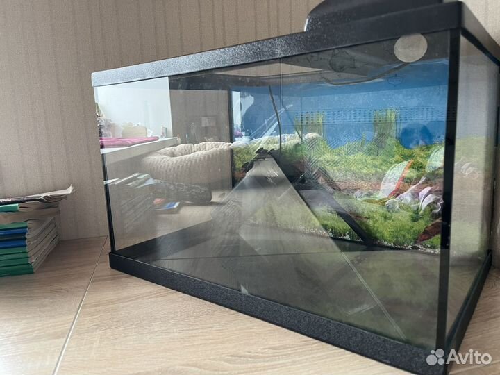 Аквариум 60л с освещением