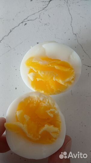 Домашние деревенские яйца