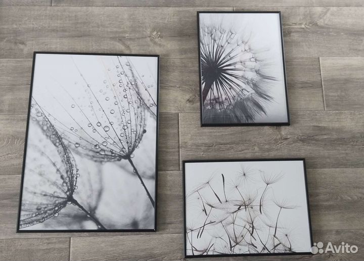 Плакат постер черно-белый рамка черная картина