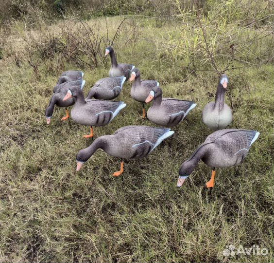 Чучела Белолобых гусей 3D 10шт