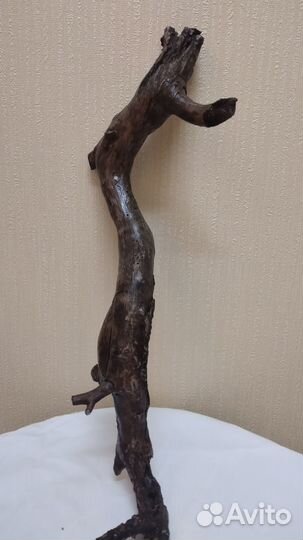 Грот декор для аквариума череп тираннозавра