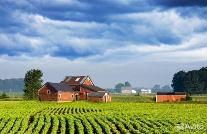 Фермерское хозяйство с техникой