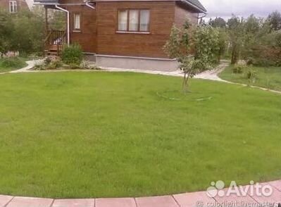 Рулонный газон