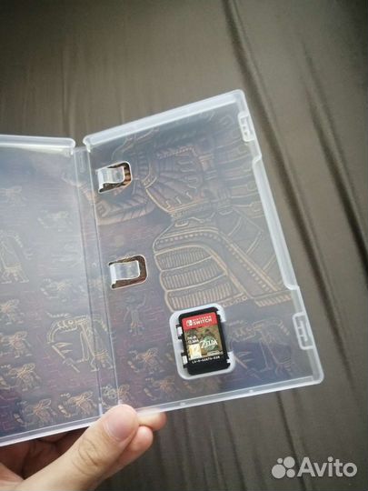 The legend of zelda tears of the kindom