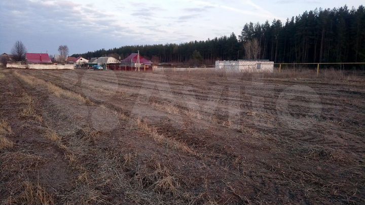 Участок 12 сот. (ИЖС)