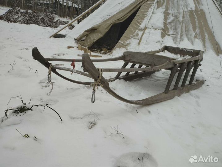 Аренда упряжек северных оленей и собак