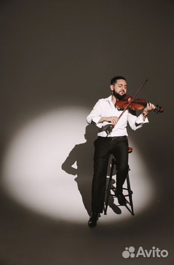 Скрипка на праздник