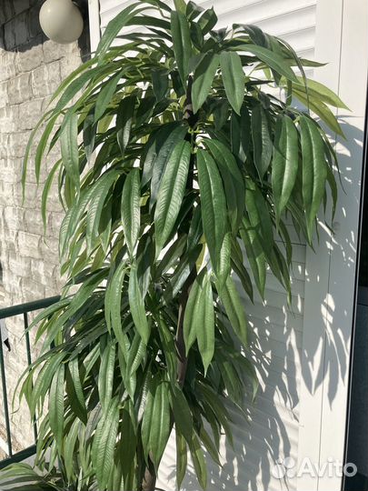 Искусственное дерево драцена