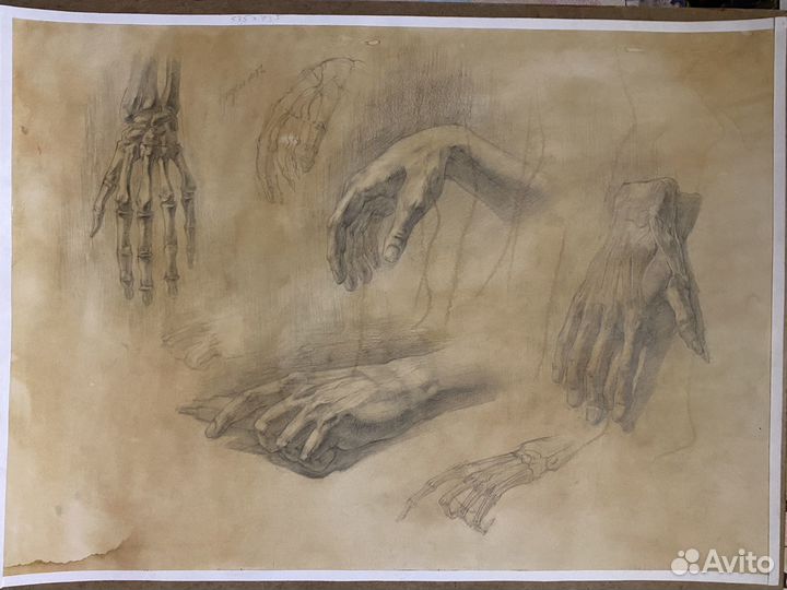 Руки,ноги, портреты. Академический рисунок