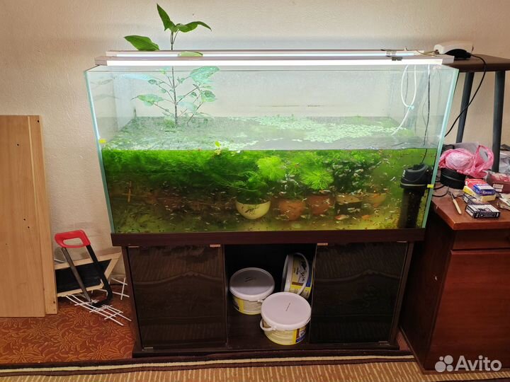 Аквариум с тумбой 390 литров