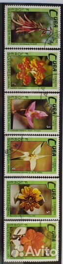 Куба. Флора. 51 марка, начиная с 1963 года