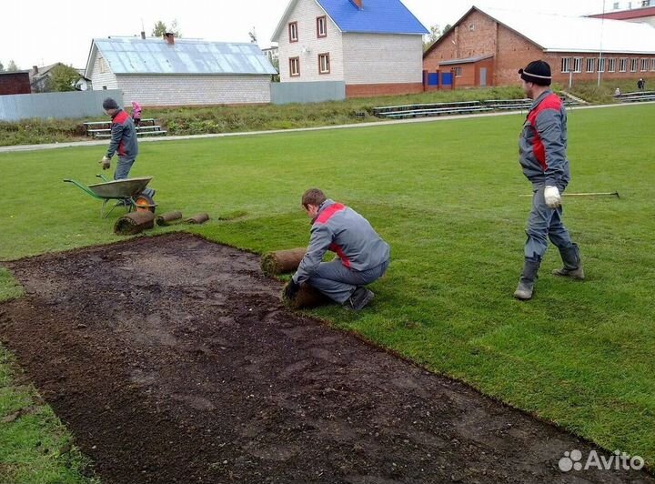 Газон рулонный
