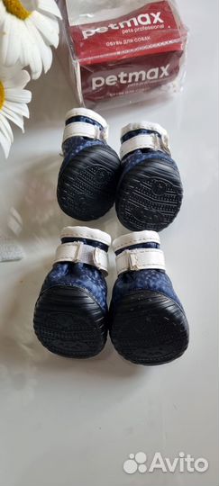 Обувь для маленьких собак