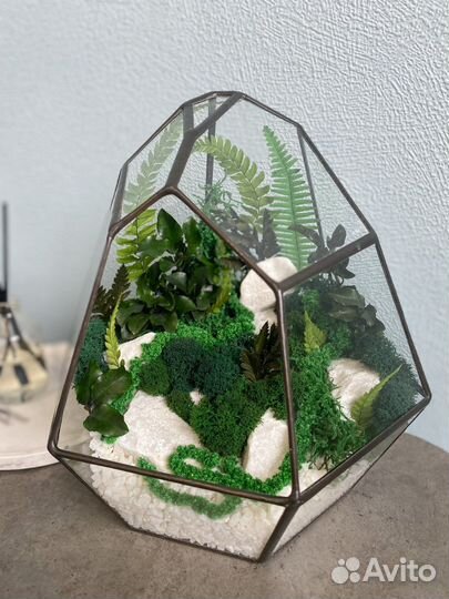 Часы из стабилизированного мха, флорариумы с мхом