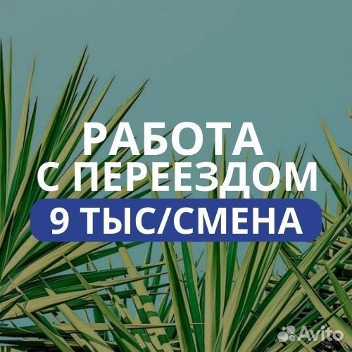 Работа в Израиле с переездом, гражд РФ, рб, Укр