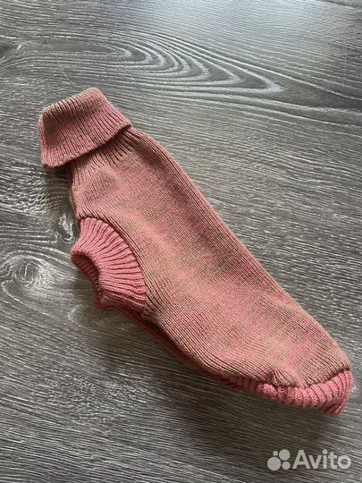 Одежда для собак