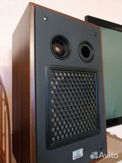 Акустическая система Радиотехника 10ас-9