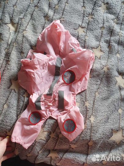 Одежда для собак