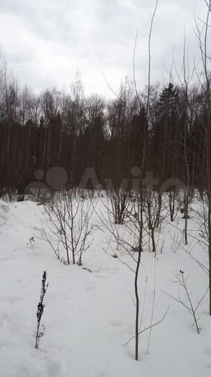 Участок 19,5 сот. (ИЖС)