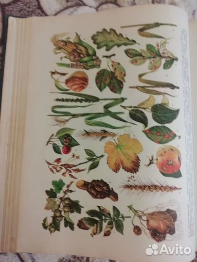 Энциклопедический словарь СССР