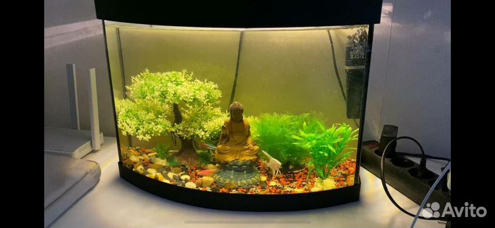 Аквариум