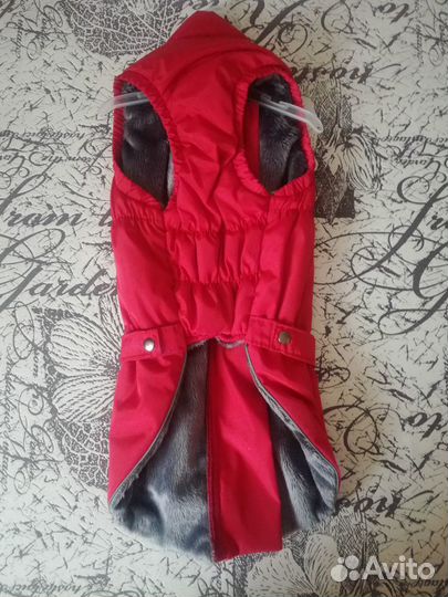 Жилетка Тузик 1