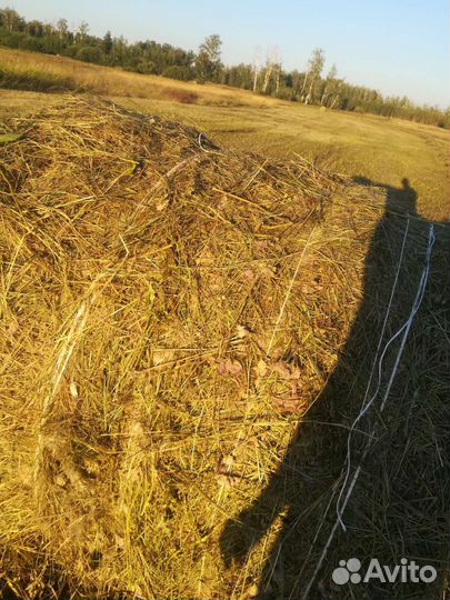 Сено в рулонах 2024