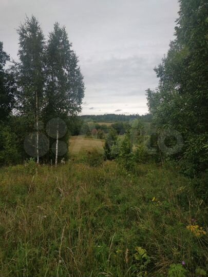 Участок 30 сот. (ИЖС)